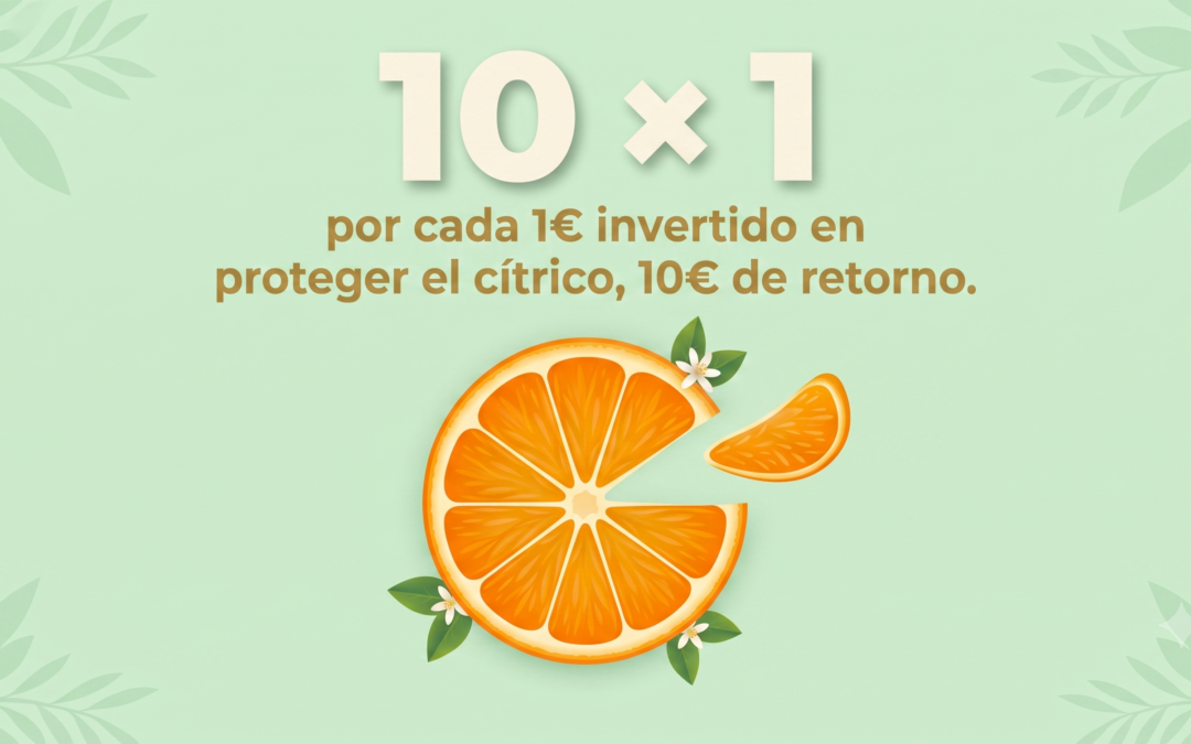 Diez por Uno: 1€ invertido en postcosecha recupera 10€