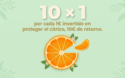 Diez por Uno: 1€ invertido en postcosecha recupera 10€