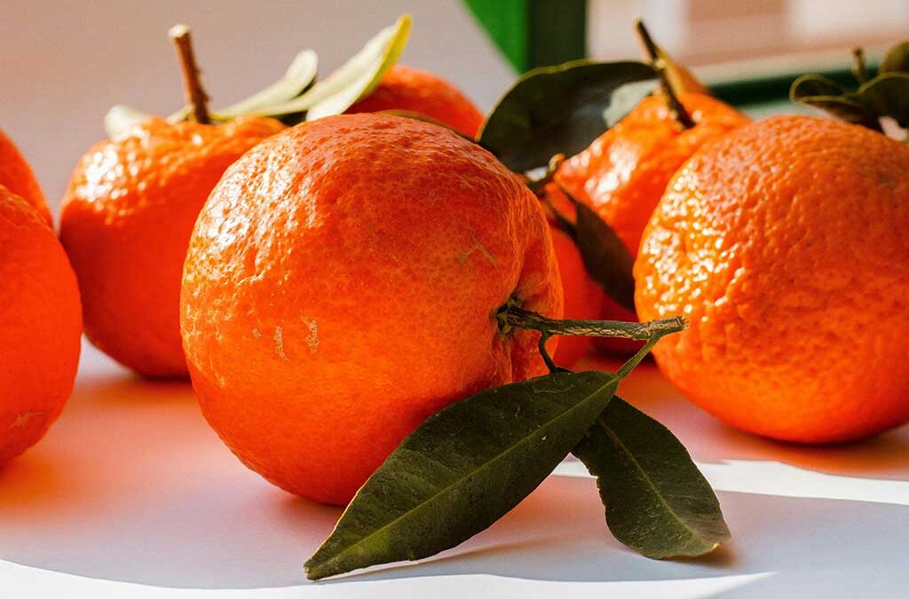 Coadyuvantes tecnológicos. Qué son y sus diferencias con los aditivos alimentarios